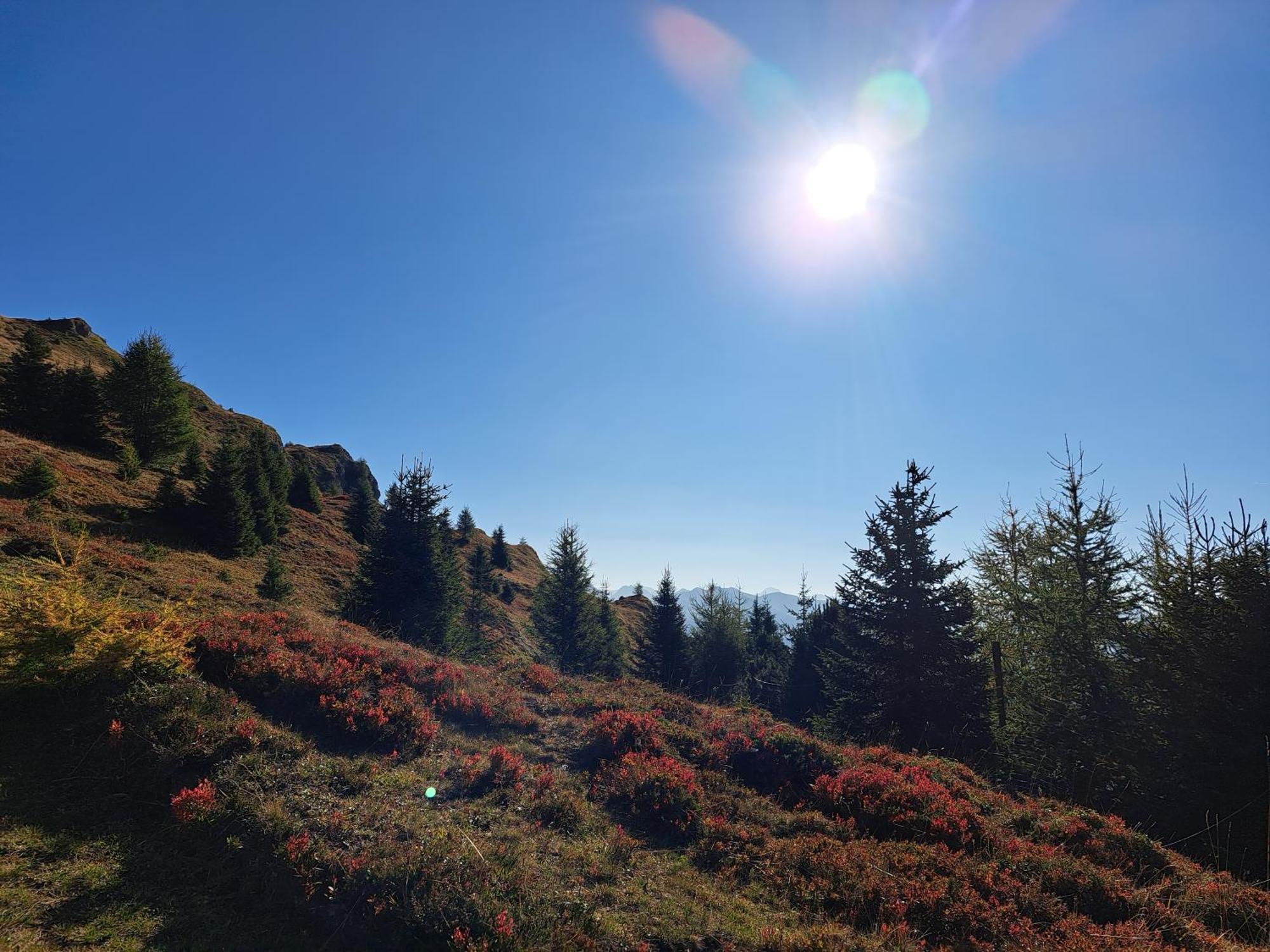 Apart Am Brunnen Ried im Oberinntal Bagian luar foto