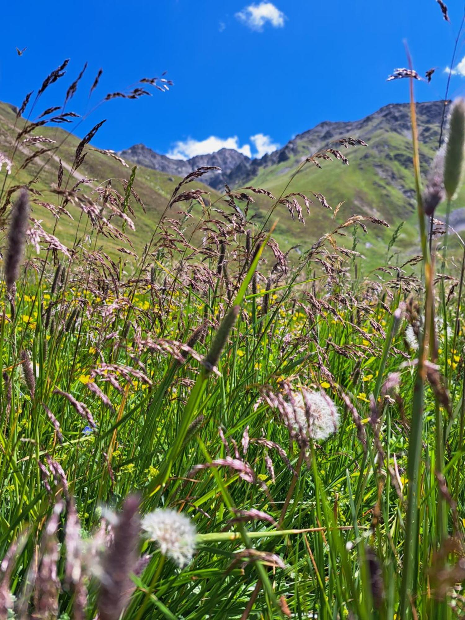 Apart Am Brunnen Ried im Oberinntal Bagian luar foto