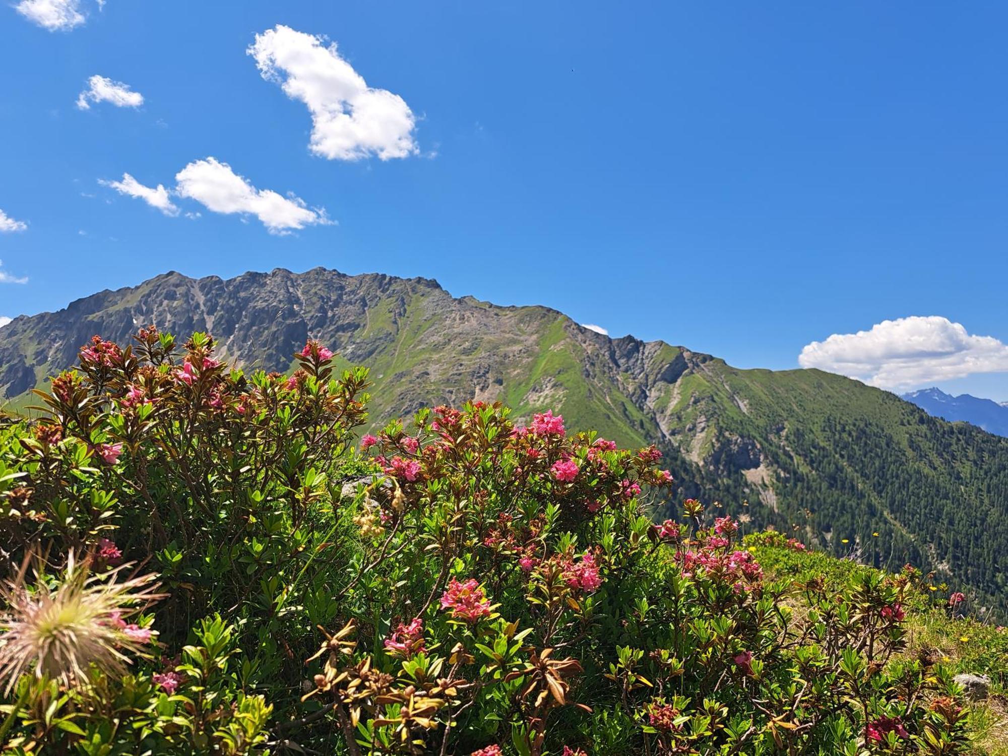 Apart Am Brunnen Ried im Oberinntal Bagian luar foto